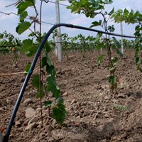 China Vineyard Drip Irrigation System HT1119 supplier China manufacturer factory