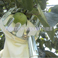 China Fruit Picker Gardening Tool HT5805A supplier China manufacturer factory